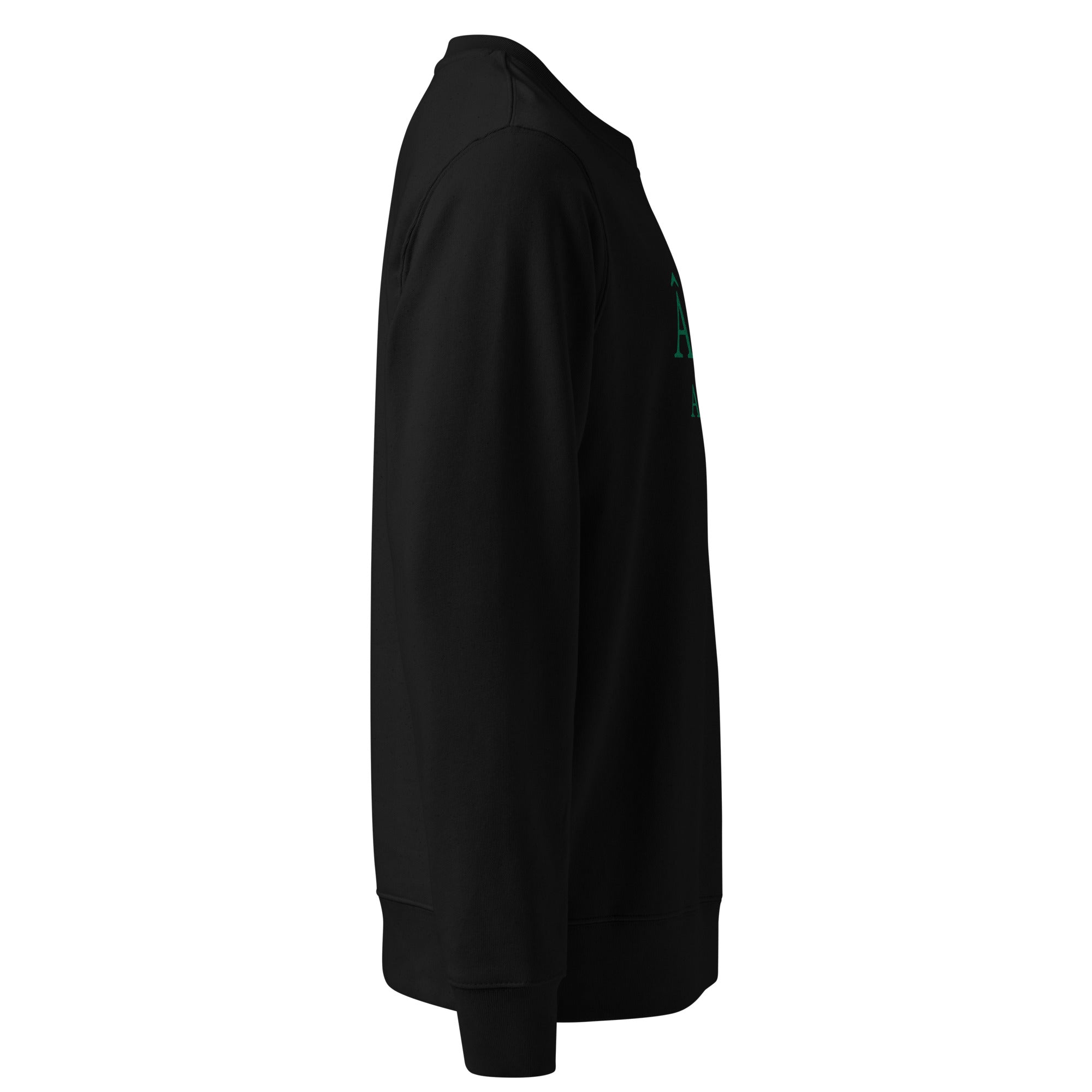 Side view of Âme Atelier embroidered sweatshirt in black