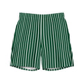 Front view of Le Rayé striped swimming shorts in abyss green