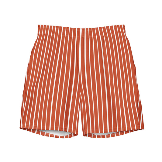 Front view of Le Rayé striped swimming shorts in terracotta
