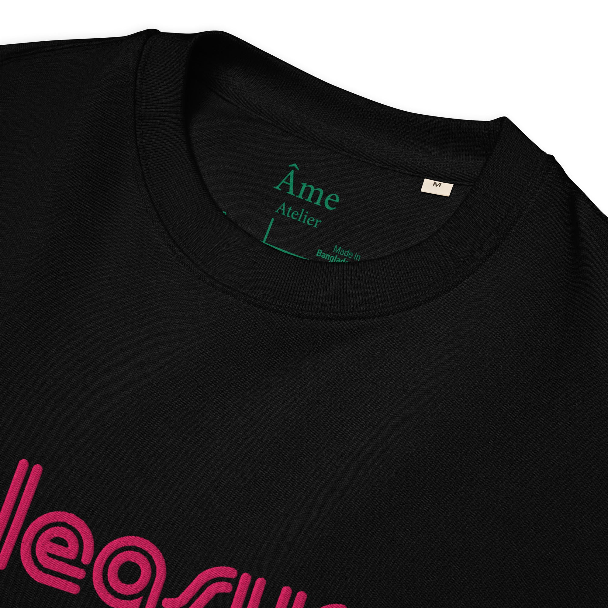 Close up of Pleasure embroidered sweatshirt in black